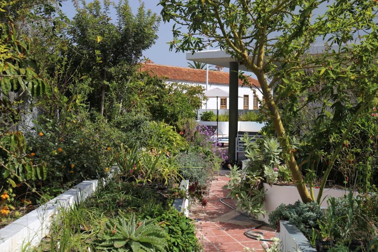 Jungle Paradise La Orotava Exterior photo